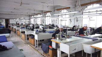 服裝精益生產(chǎn)中成本控制的智慧引擎 高效信息咨詢(xún)服務(wù)策略